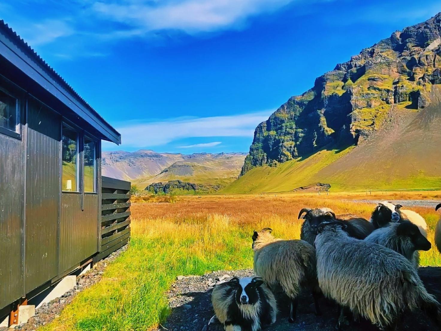 Green Farm Stay With Private Hot Tub Hvolsvöllur Dış mekan fotoğraf